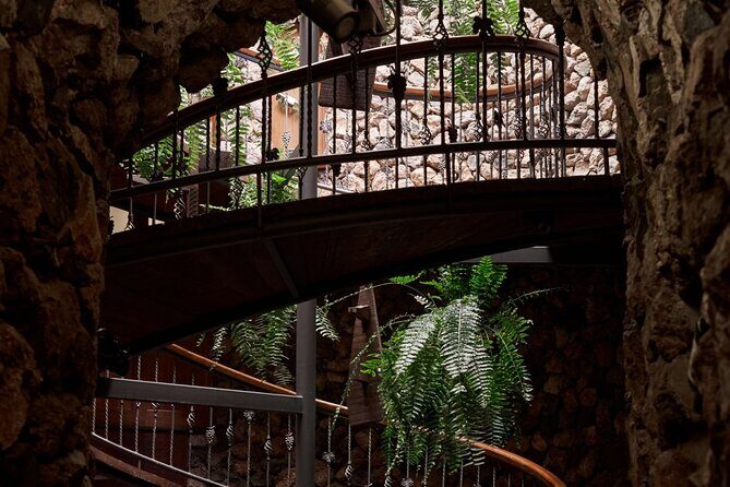 Guided Tour with 6 Wine Tasting - What to Expect From the Winery Tour