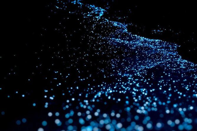 Guided Tour with Horseback Riding and Bioluminescence in Puerto Escondido - The Value of This Tour