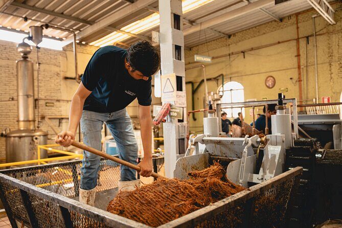 Guided Tour with Tasting in Tequilera Hacienda de Oro - Key Points
