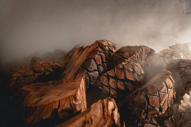 Guided Tour with Tasting in Tequilera Hacienda de Oro - FAQs