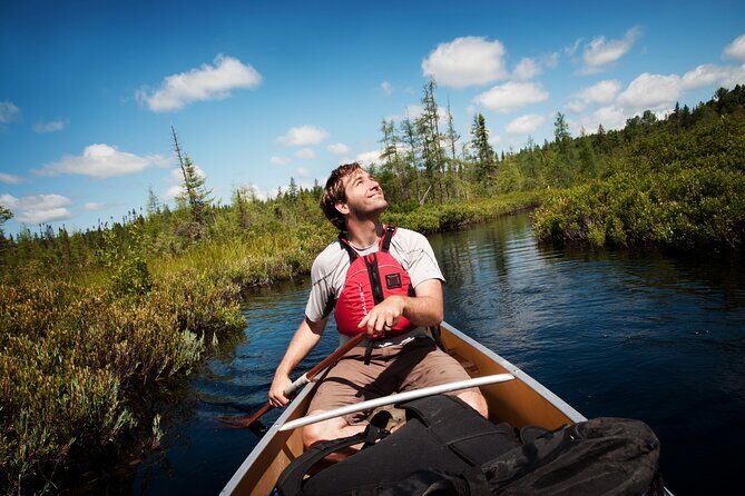 Guided Tours Algonquin Park - Final Thoughts