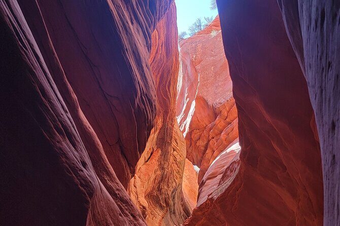 Guided tours in southern Utahs slot canyons, Indian ruins, and national parks. - Who Should Consider This Tour?