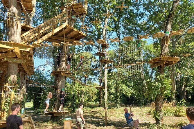 Guided treetop adventure course in the heart of Nantes - Who Will Enjoy This Experience?