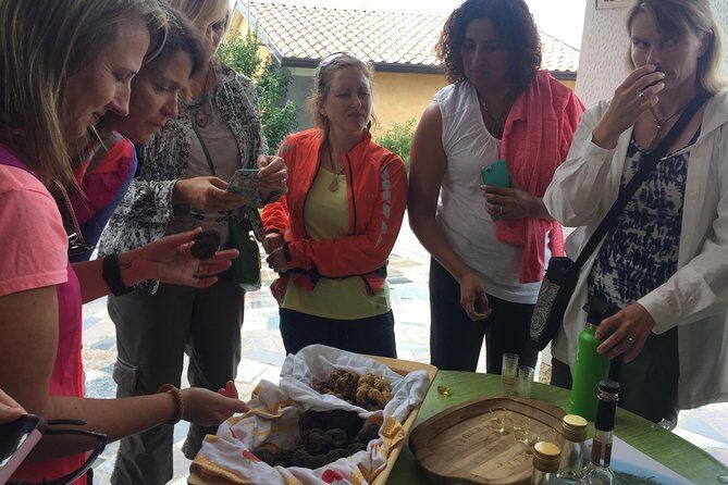 Guided Truffle Hunt Istria - Key Points