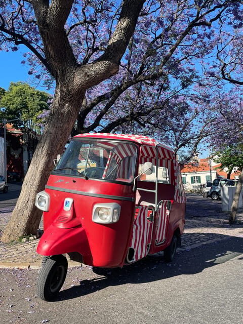 Guided tuk tuk tour in Lisbon's old neighborhoods - Key Points