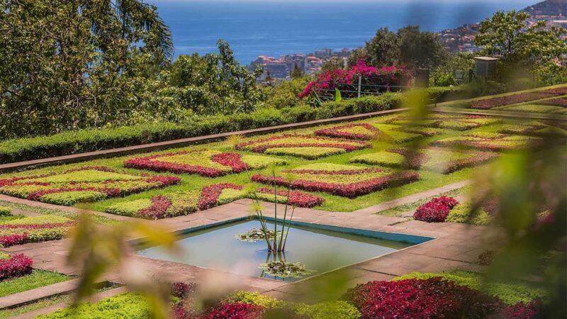 Guided Tuk-Tuk Tour to Botanical Garden (From Funchal) - FAQ