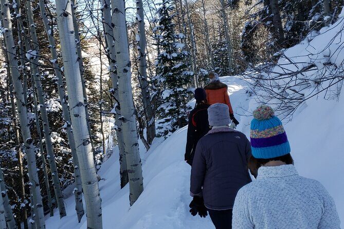 Guided Uinta Forest 3-Mile Hike w/fire + Lunch/charcuterie Stop - Key Points