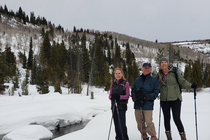 Guided Uinta Forest 3-Mile Hike w/fire + Lunch/charcuterie Stop - An In-Depth Look at the Uinta Forest Hike