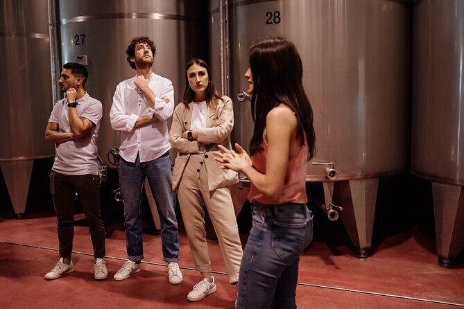 Guided Visit and Wine Tasting at the Winery in Veneto - Key Points