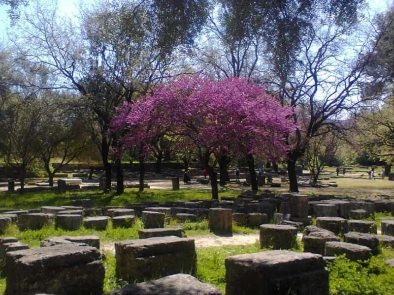 Guided visit to ancient Olympia with an Italian-Greek archaeologist tour guide - A detailed look at the Olympia tour