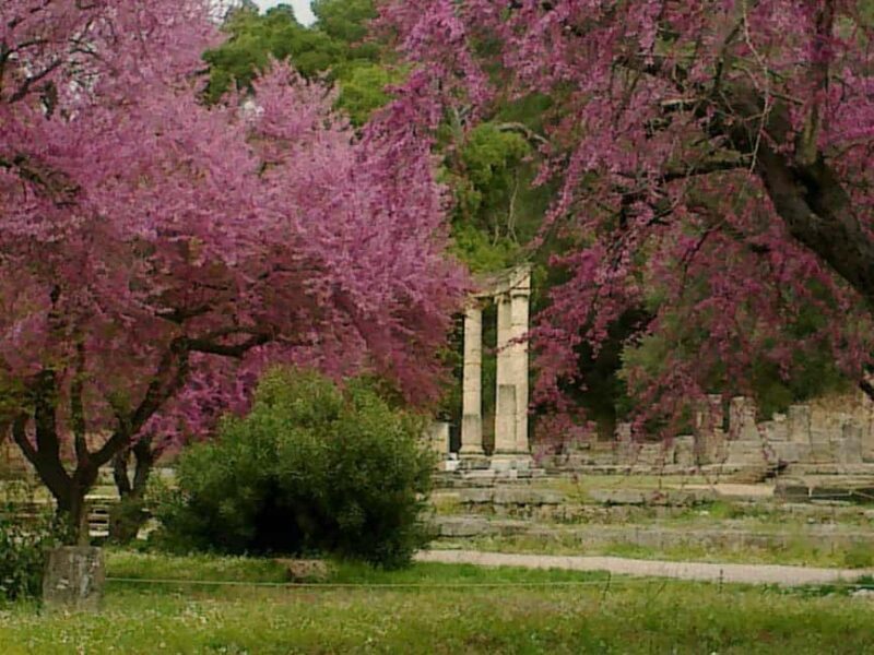 Guided visit to ancient Olympia with an Italian-Greek archaeologist tour guide - Final thoughts