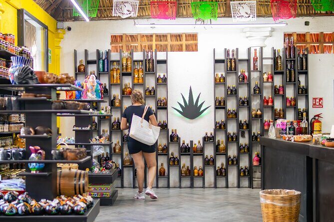 Guided Visit to Huatulco with Pickup Included - Who Should Book This Tour?