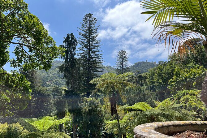 Guided Visit to Palacio da Regaleira - Practical Tips for Your Visit