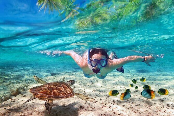 Guided Visit to Puerto Morelos with Snorkeling Included - Key Points
