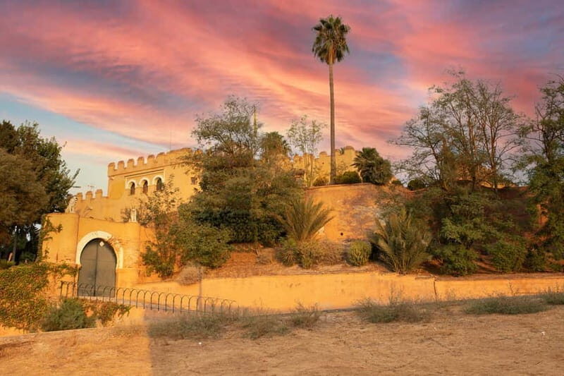 Guided Visit to the Castle of Láchar, Granada - Key Points