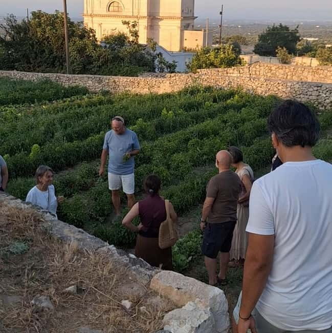 Guided visit to the Medieval Gardens of Ostuni - Discovering the Medieval Gardens of Ostuni: An Honest Look