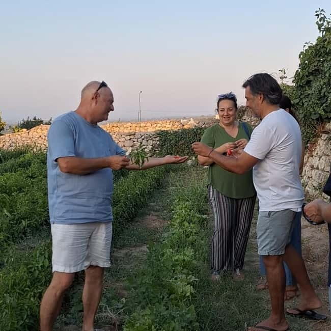 Guided visit to the Medieval Gardens of Ostuni - Weighing the Pros and Cons