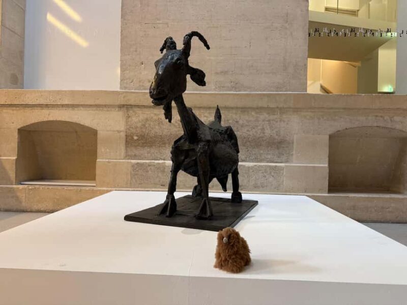 Guided Visit to the Museum of Picasso - What to Expect During Your Visit