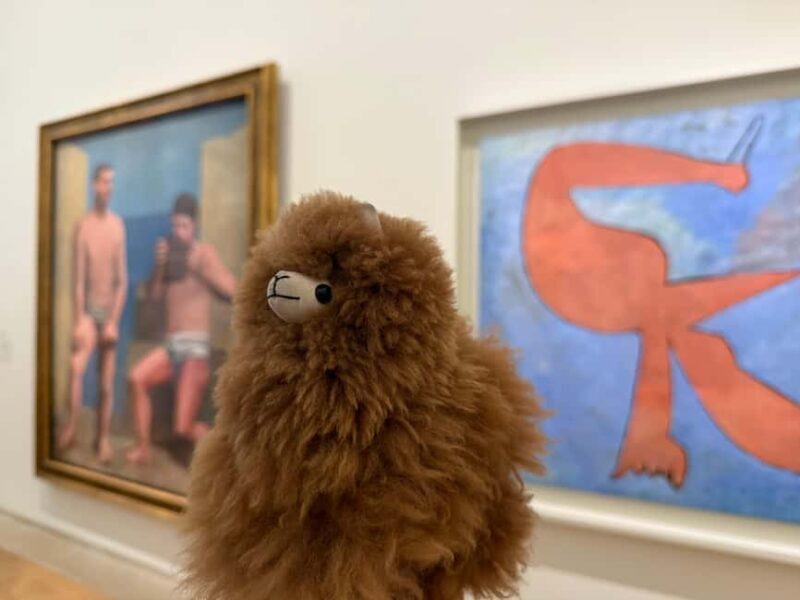 Guided Visit to the Museum of Picasso - Cost and Value