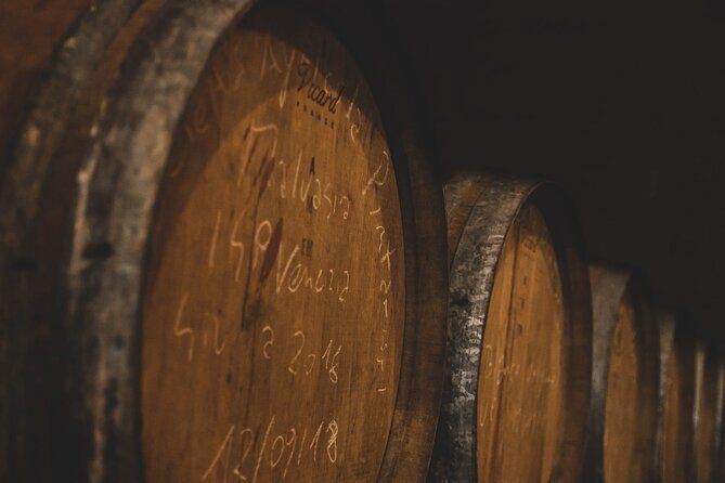 Guided Visit to the Vineyard with Wine Tasting - FAQ