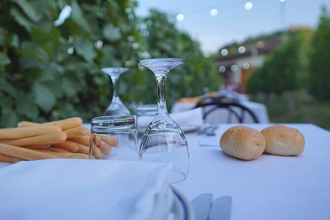 Guided Walk and Lunch in the Vineyard in Alba - Authenticity and Traveler Feedback