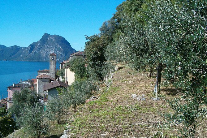 Guided Walk from Lugano to Gandria promoted by Lugano Region - return by boat - Frequently Asked Questions