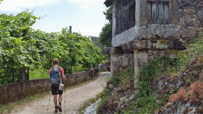 Guided Walk & Picnic Peneda Gerês National Park - What to Expect from Your Tour in Peneda Gerês