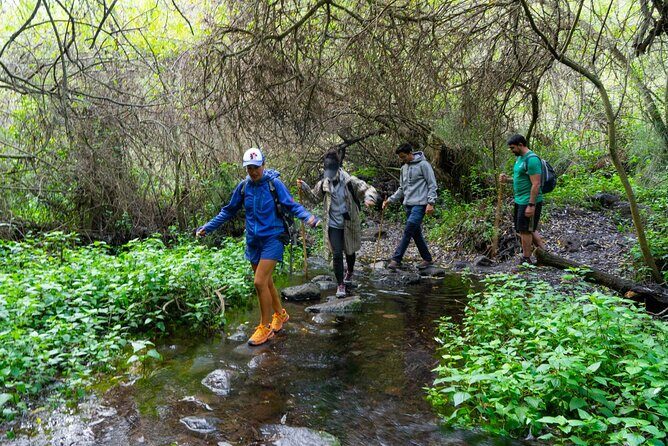 Guided Walking Route to Caldera de Taburiente - Exploring the Highlights of the Guided Walk to Caldera de Taburiente