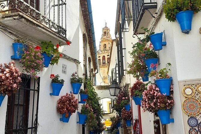 Guided walking tour in Cordoba - A Closer Look at the Tour Experience
