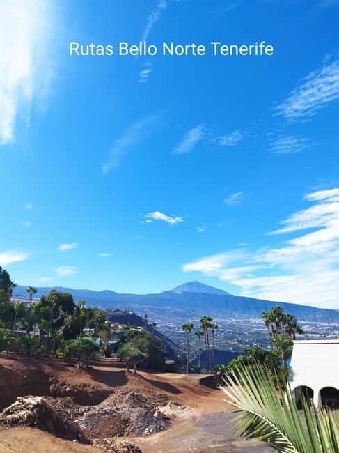 Guided walking tour in La Orotava 1:30 min, Tenerife - Who Should Consider This Tour?