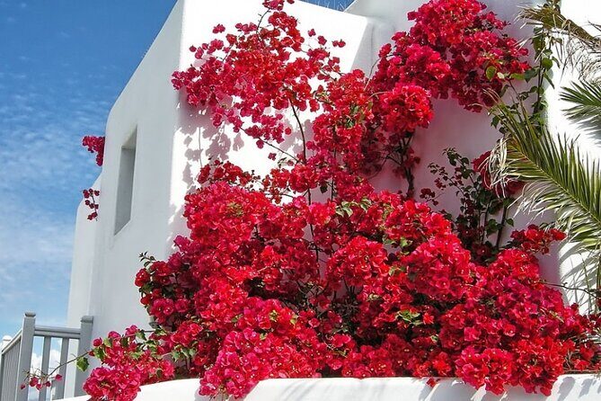 Guided Walking Tour Mykonos, Little Venice, Windmills, Beaches - The Windmills (Kato Milli)