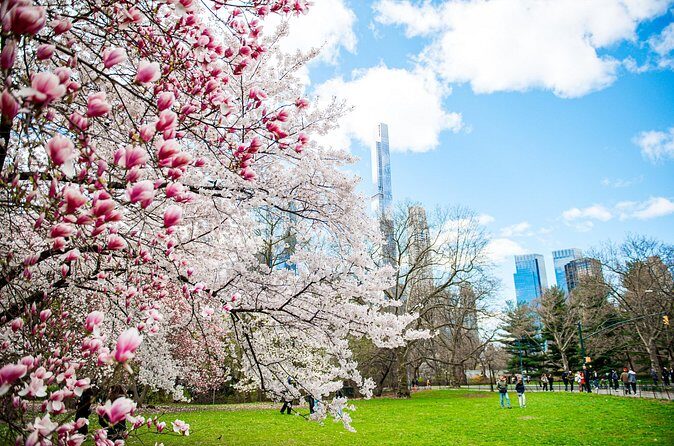 Guided Walking Tour Of Central Park - Who Is This Tour Best For?