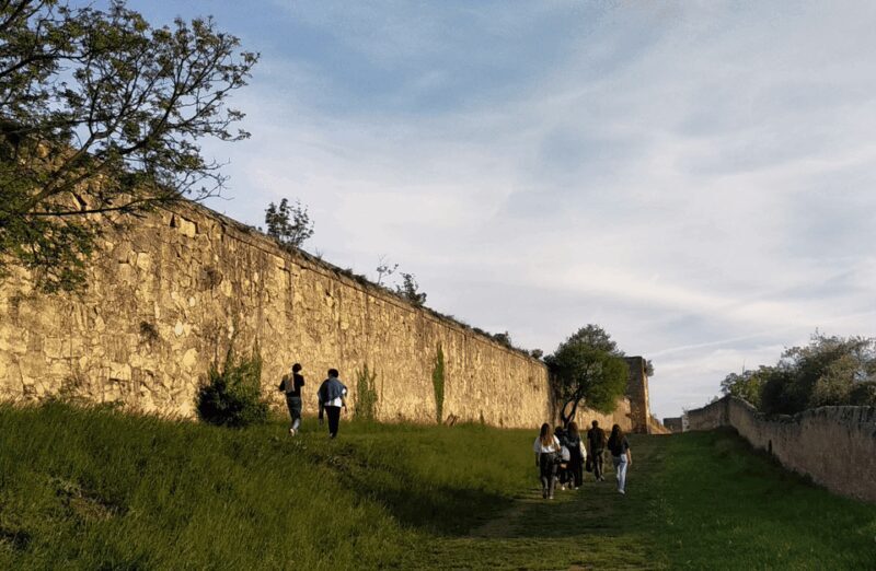 Guided Walking Tour on Verona Hillside - The Experience of the Walk