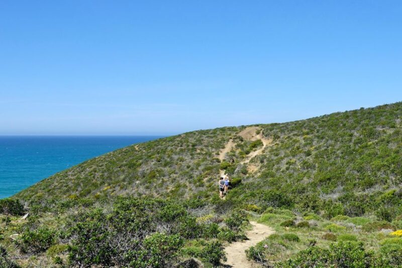 Guided Walk+Picnic: Western Algarve´s Wild Beauty - Exploring the Wild Beauty of Western Algarve: A Guided Walk and Picnic Experience