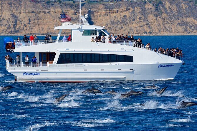 Guided Whale Watching Tour from Long Beach - FAQs About the Long Beach Whale Watching Tour