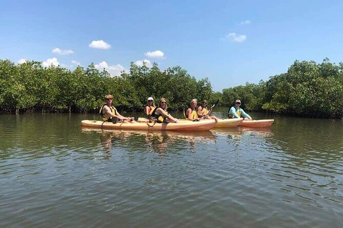 Guided Wildlife Eco Kayak Tour in New Smyrna Beach - Who is this tour best suited for?