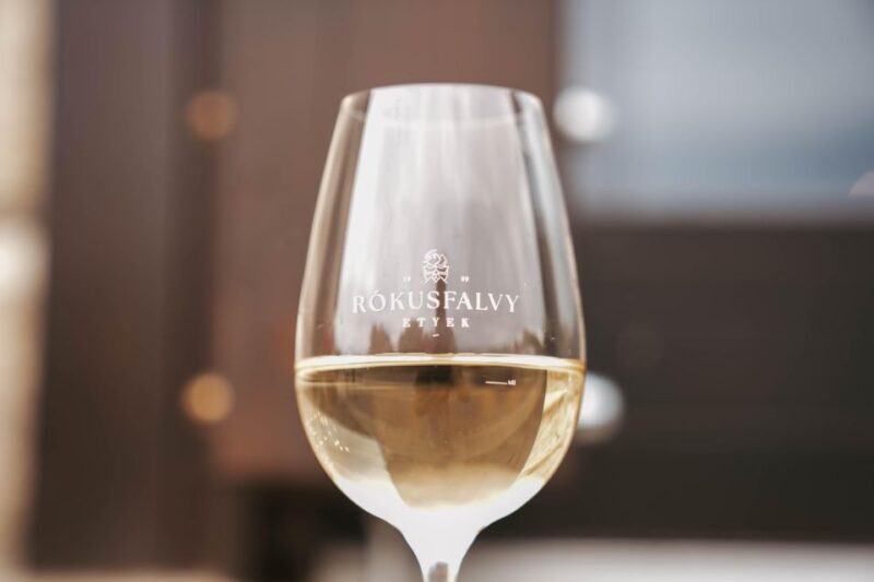 Guided wine tasting at Rókusfalvy Estate - A Warm Look at the Guided Wine Tasting at Rókusfalvy Estate