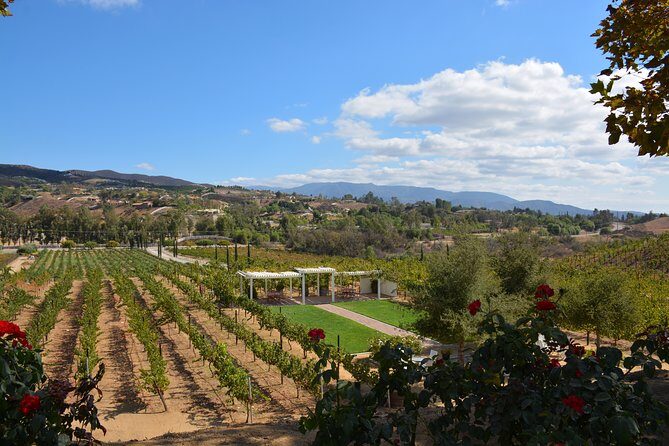 Guided Wine Tasting Tour of Temecula - Analyzing the Cost: Is It Worth It?