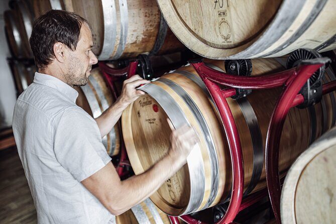 Guided winery tour with tasting in Bolzano at the SKYWINE PAVILLON - Final Thoughts