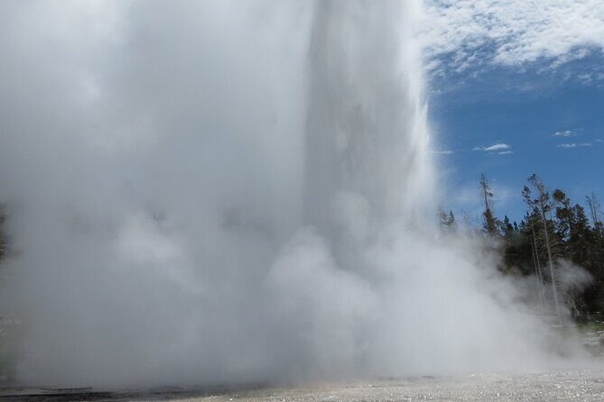 Guided Yellowstone Hot Spring & Geyser Basin Tour - Who Will Appreciate This Tour?