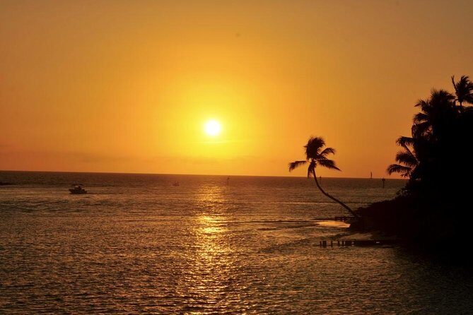 Gulf of Mexico Sunset Cruise from Naples - Gulf of Mexico Sunset Cruise from Naples: An Honest Look