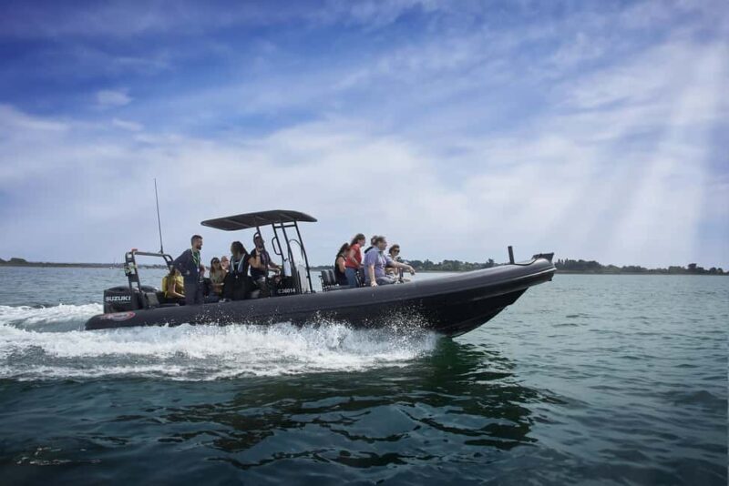 Gulf of Morbihan cruise with/without stopover on Île-aux-Moines - Key Points