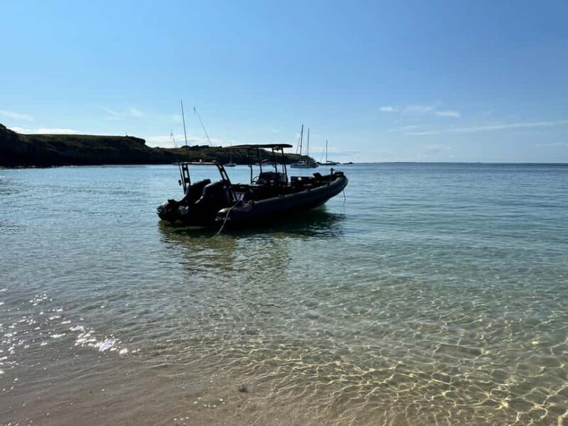 Gulf of Morbihan cruise with/without stopover on Île-aux-Moines - FAQ