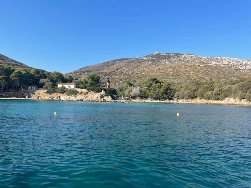 Gulf of Olbia: Dolphin watching by dinghy - Why This Tour Offers Good Value