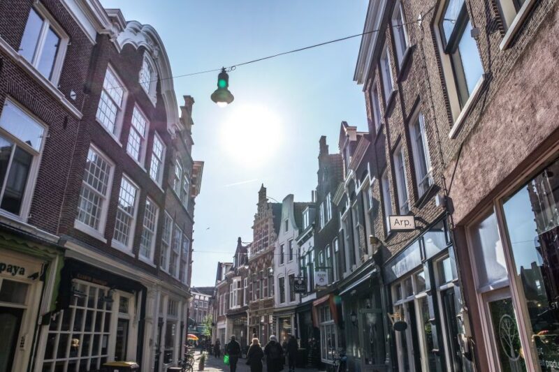Haarlem: City Highlights Walking Tour - Haarlem: City Highlights Walking Tour – An Honest Look