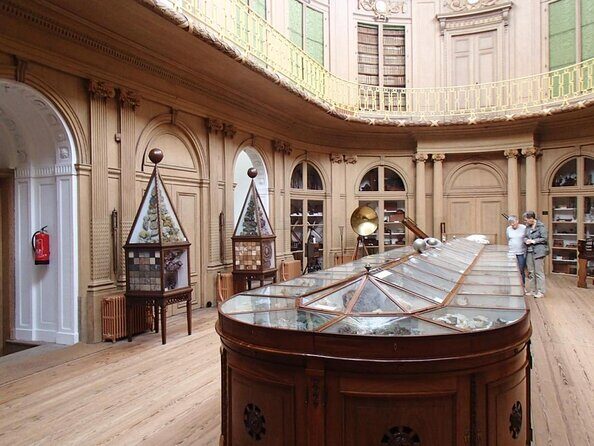 Haarlem Old Town Private Walking Tour - Key Points