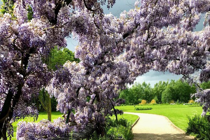 Haarlem Old Town Private Walking Tour - Final Thoughts