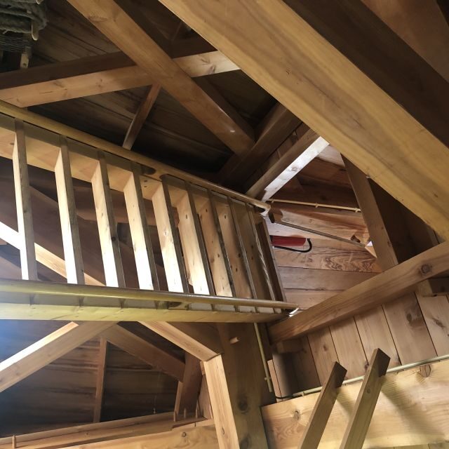 Haarlem: Windmill 'De Adriaan' Guided Tour - Key Points