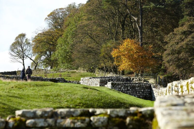 Hadrian's Wall: Housesteads Roman Fort Entry Ticket - Who Should Consider Visiting?