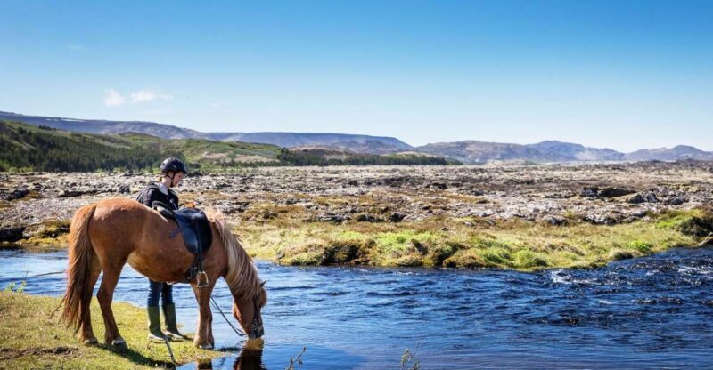 Hafnarfjörður: Horseback Riding Tour in Reykjavik Area - Key Points